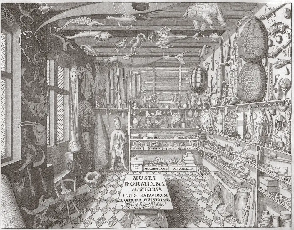 Engraving of Ole Worm's museum: a long room with a chequered floor, stuffed animals, fish, a polar bear and turtle shells hanging from the ceiling, antlers and weapons on the walls, shelves of labelled boxes, and a title stone reading Musei Wormiani Historia